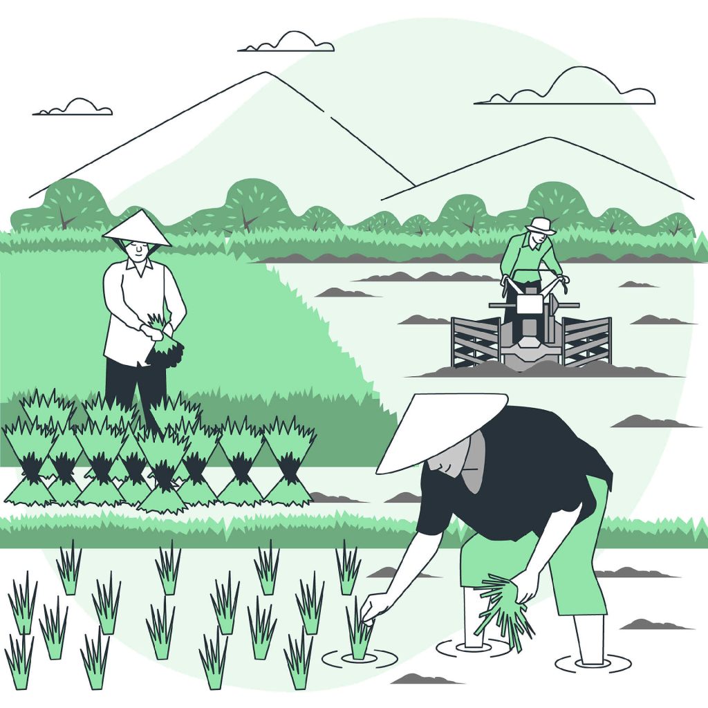 معرفی سایت در صفحه اصلی