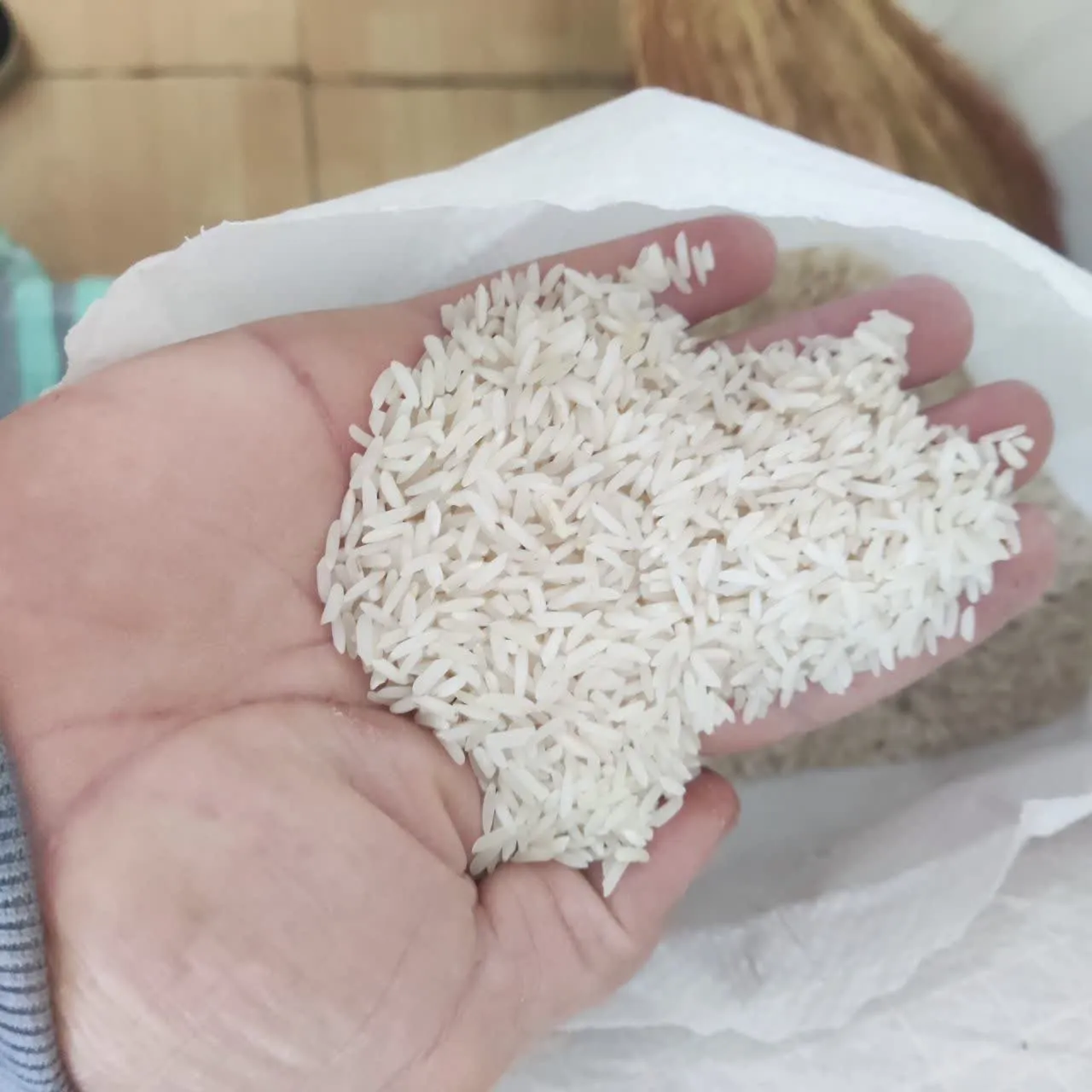 هاشمی کشت 1 درجه 1