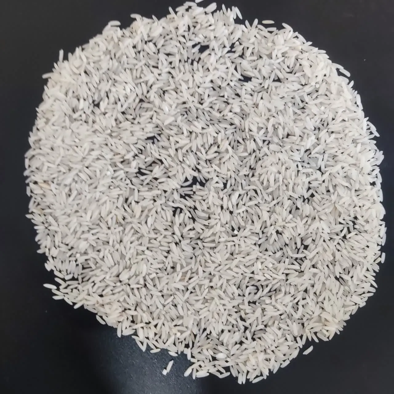 هاشمی کشت 1 درجه2